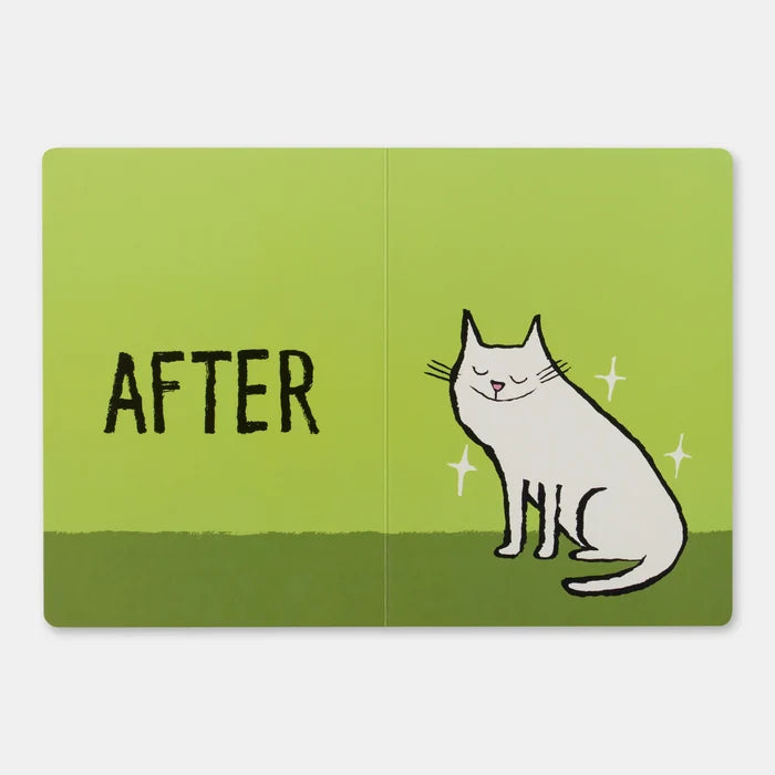Before & After Graphic Book