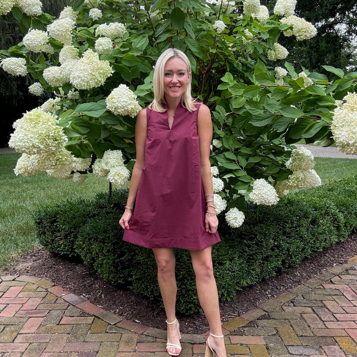 Charlotte Slit Neck Dress
