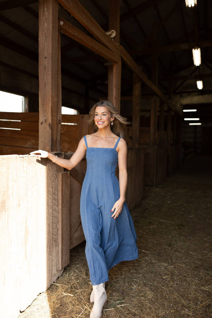 Ciara A-Line Denim Sleeveless Maxi Dress