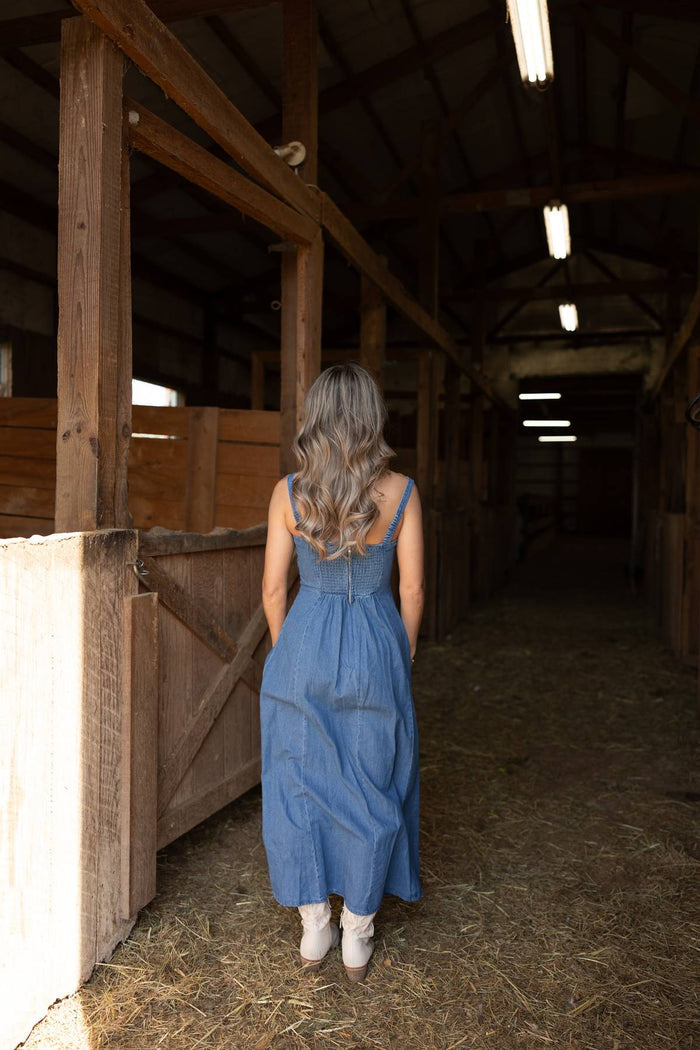 Ciara A-Line Denim Sleeveless Maxi Dress