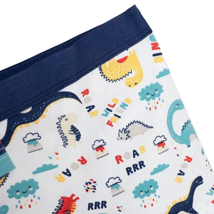 HelloBaby Boys Knickers Dinosaur - Blue Blue - ebebek