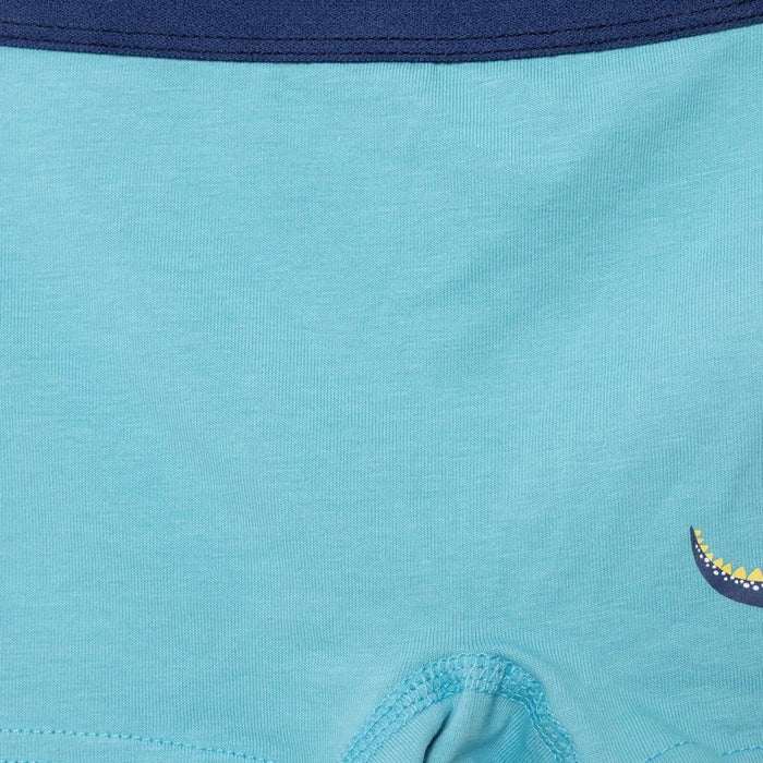 HelloBaby Boys Knickers Dinosaur - Blue Blue - ebebek