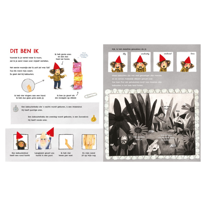 Het Kabouterboek