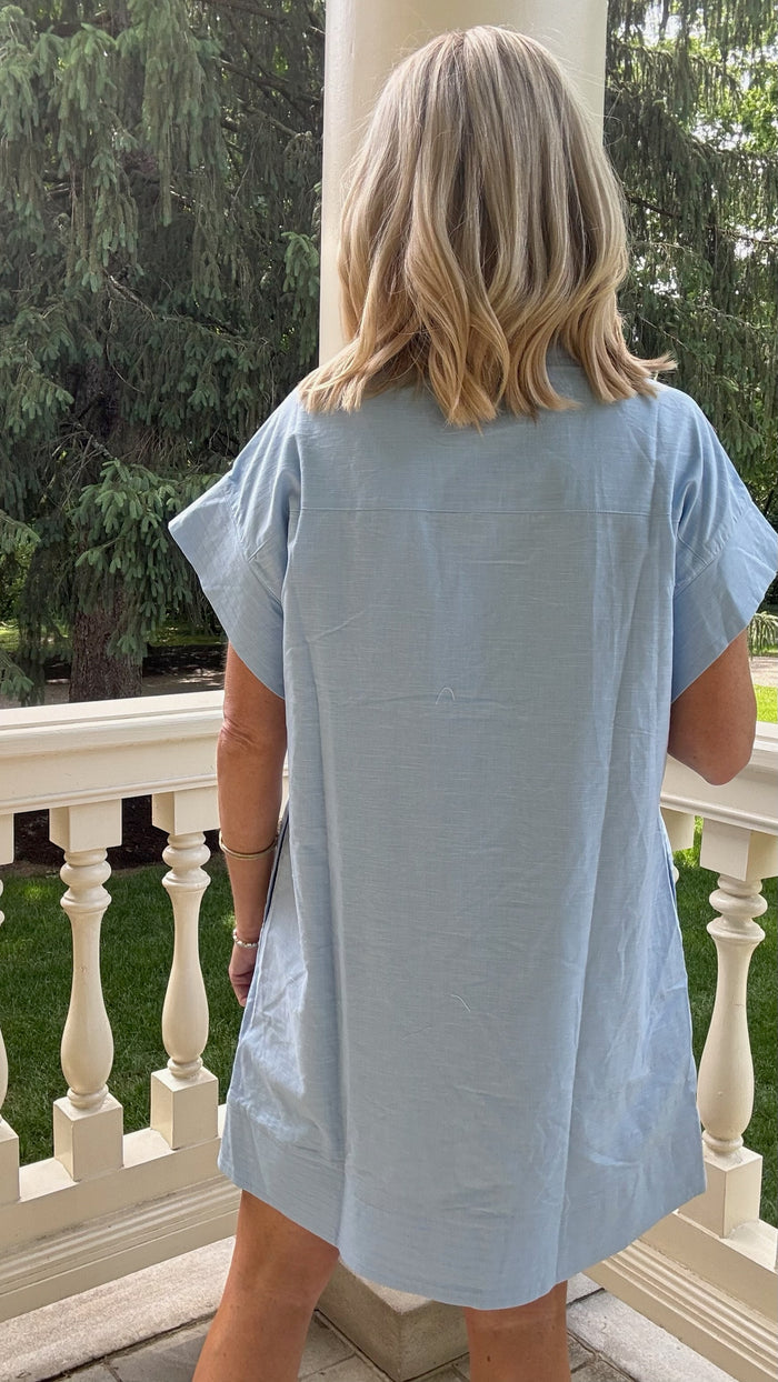 Lennie Mini Dress