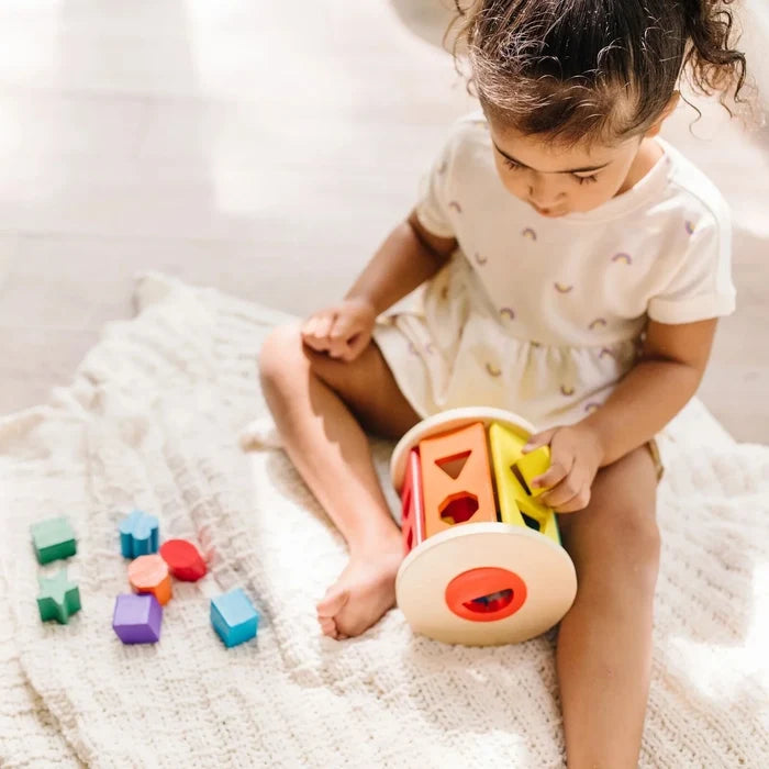 Melissa & Doug Match & Roll Wooden Shape Sorter - ebebek - Black Friday