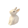 Rabbit Money Bank