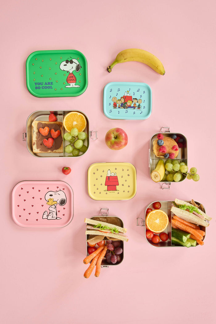 Rice Stainless Steal Snoopy Lunchbox