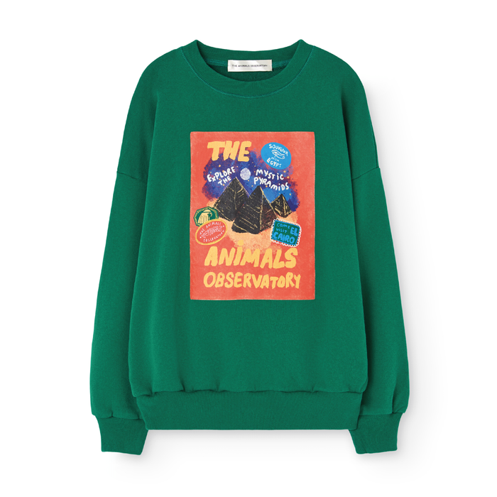 The Animals Observatory Killfish Kids Sweatshirt Dark Green
