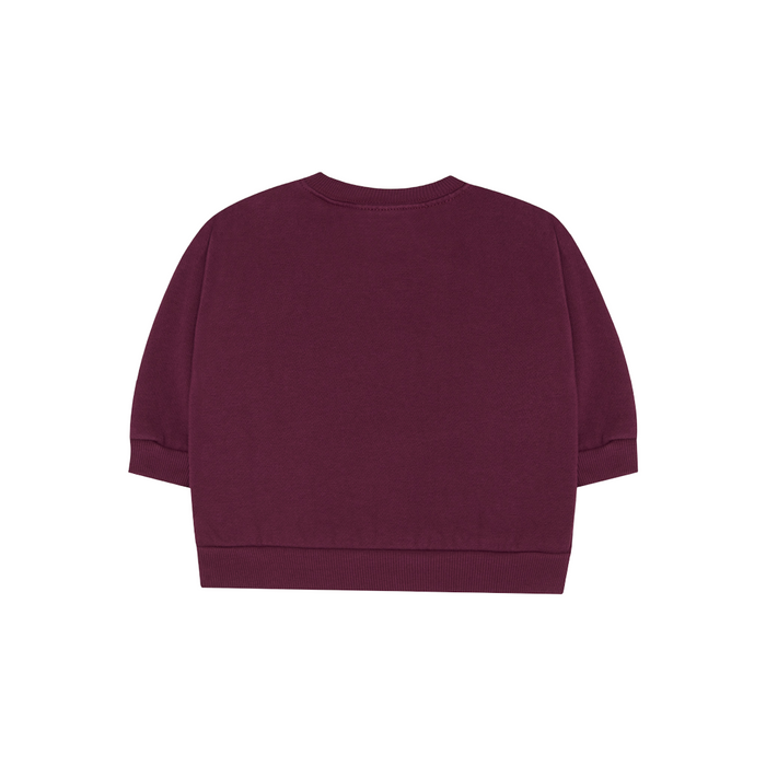 The Campamento Big Blue Daisy Baby Sweatshirt